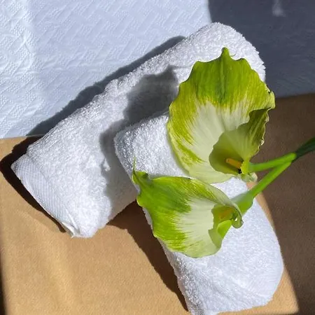 Alfonso Vll Lejlighed Caldas De Reis