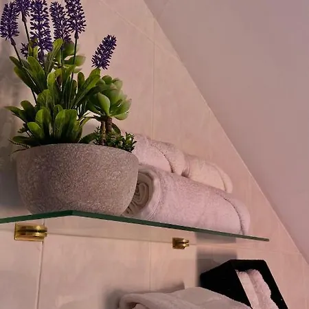 Alfonso Vll Caldas De Reis