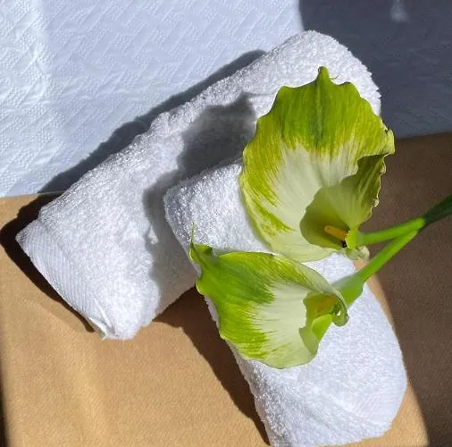 Alfonso Vll Διαμέρισμα Caldas De Reis