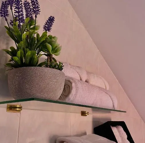 Alfonso Vll Caldas De Reis