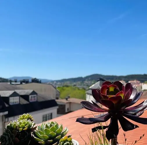 Alfonso Vll Apartmán *